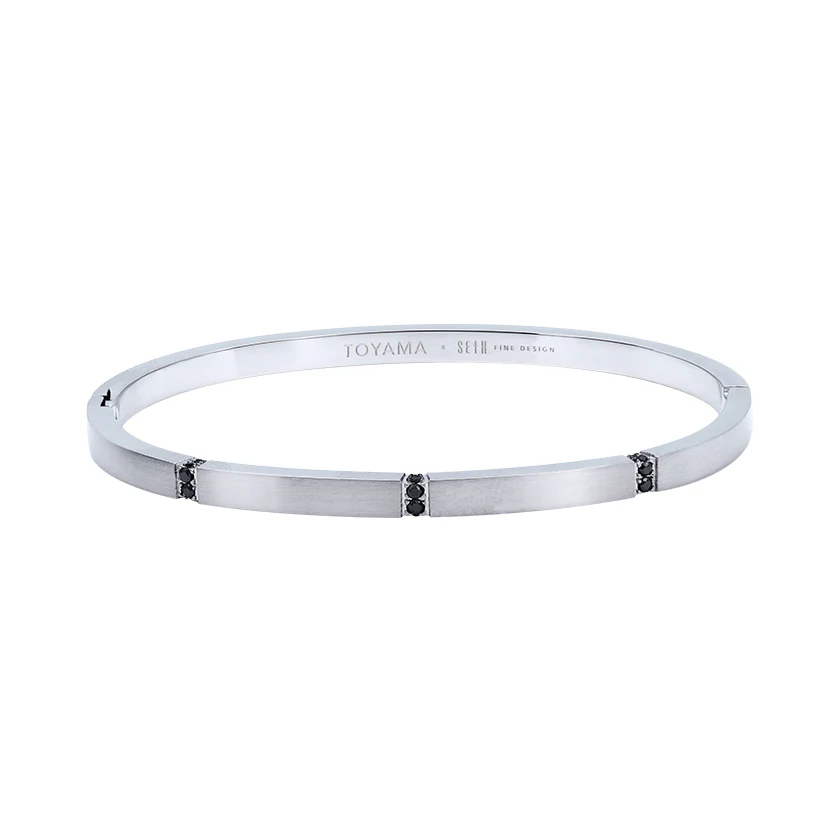 Bracelete Toyama Titânio Prata