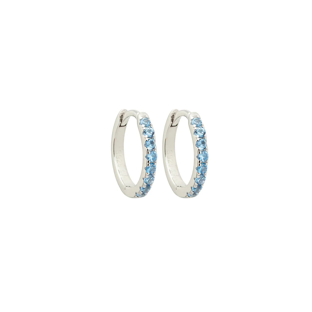 Brinco Argola Lindsay